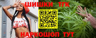 мдпв Татарск