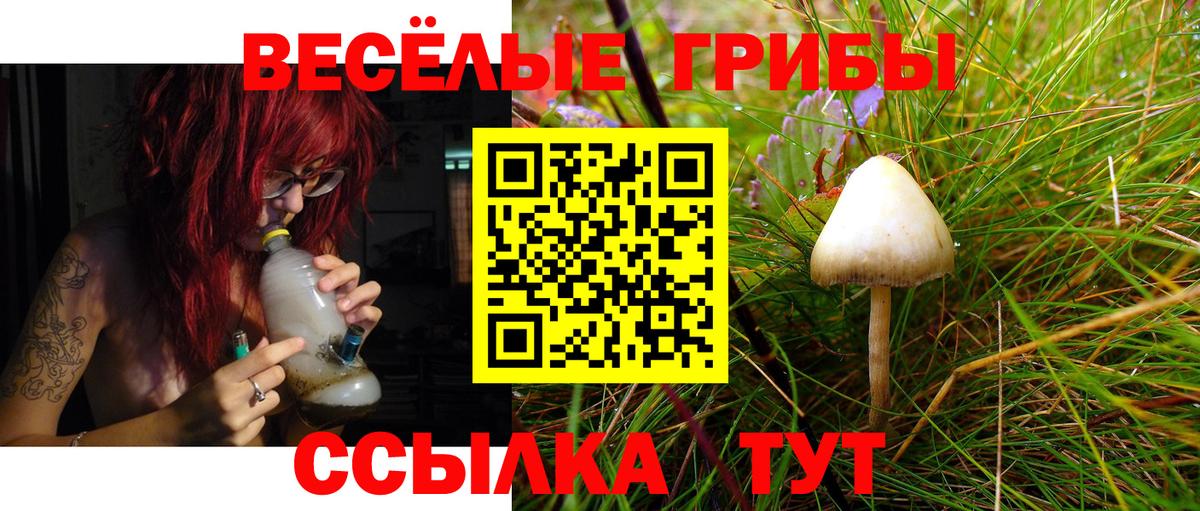 Павлово  Галлюциногенные грибы GOLDEN TEACHER  Галлюциногенные грибы Psilocybine cubensis  Вход с VPN 