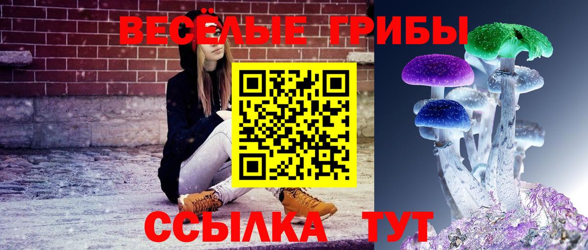 Галлюциногенные грибы Psilocybe Павлово
